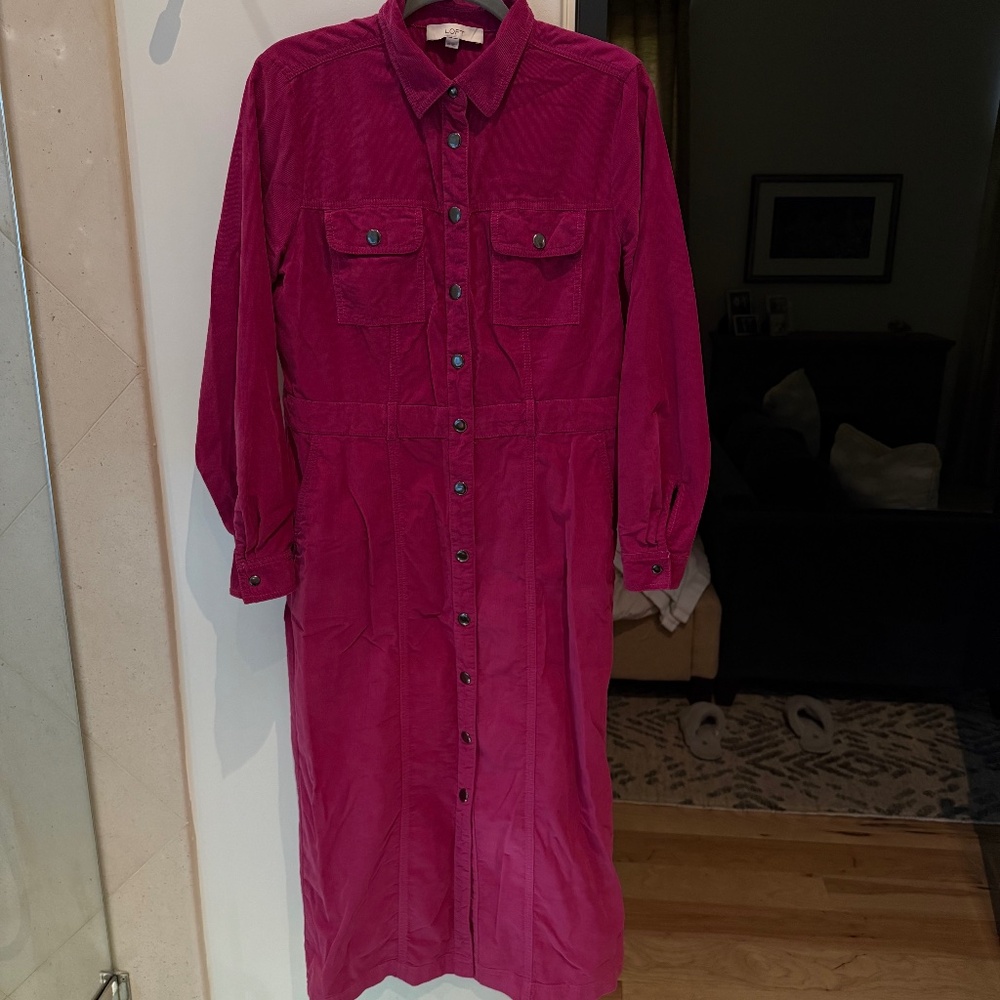 Ann Taylor Loft pink button down corduroy long sleeve dress 10